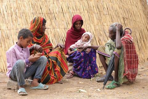 A Afar family in front of their house 