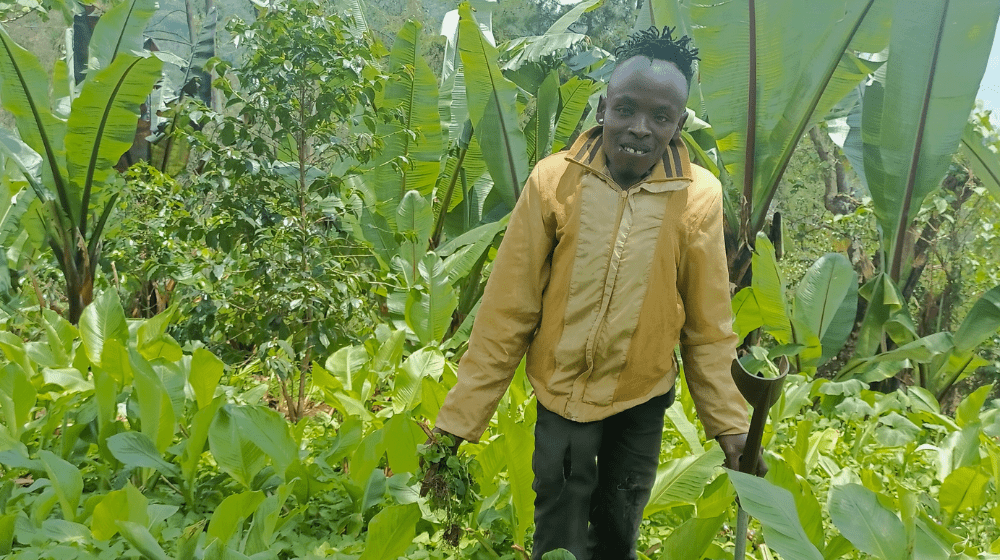 Tiglu Demisse in his seedling farm for false banana